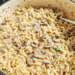 Creamy Stovetop Mushroom Orzo