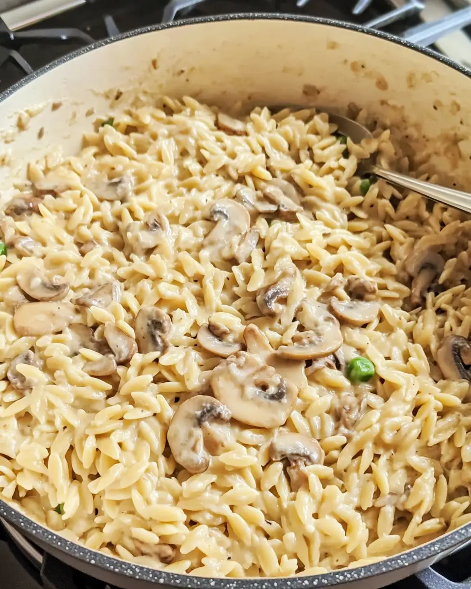 Creamy Stovetop Mushroom Orzo